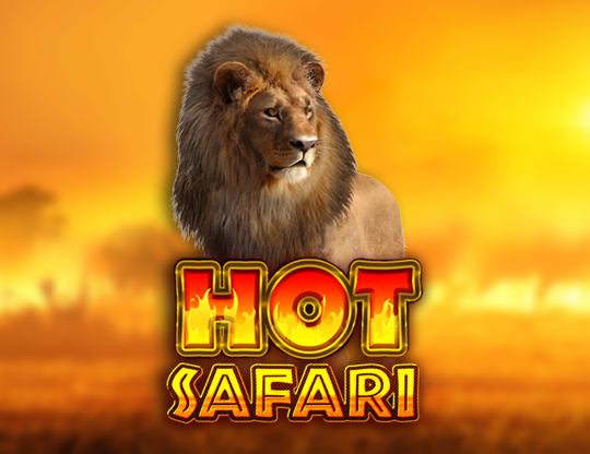 Hot Safari